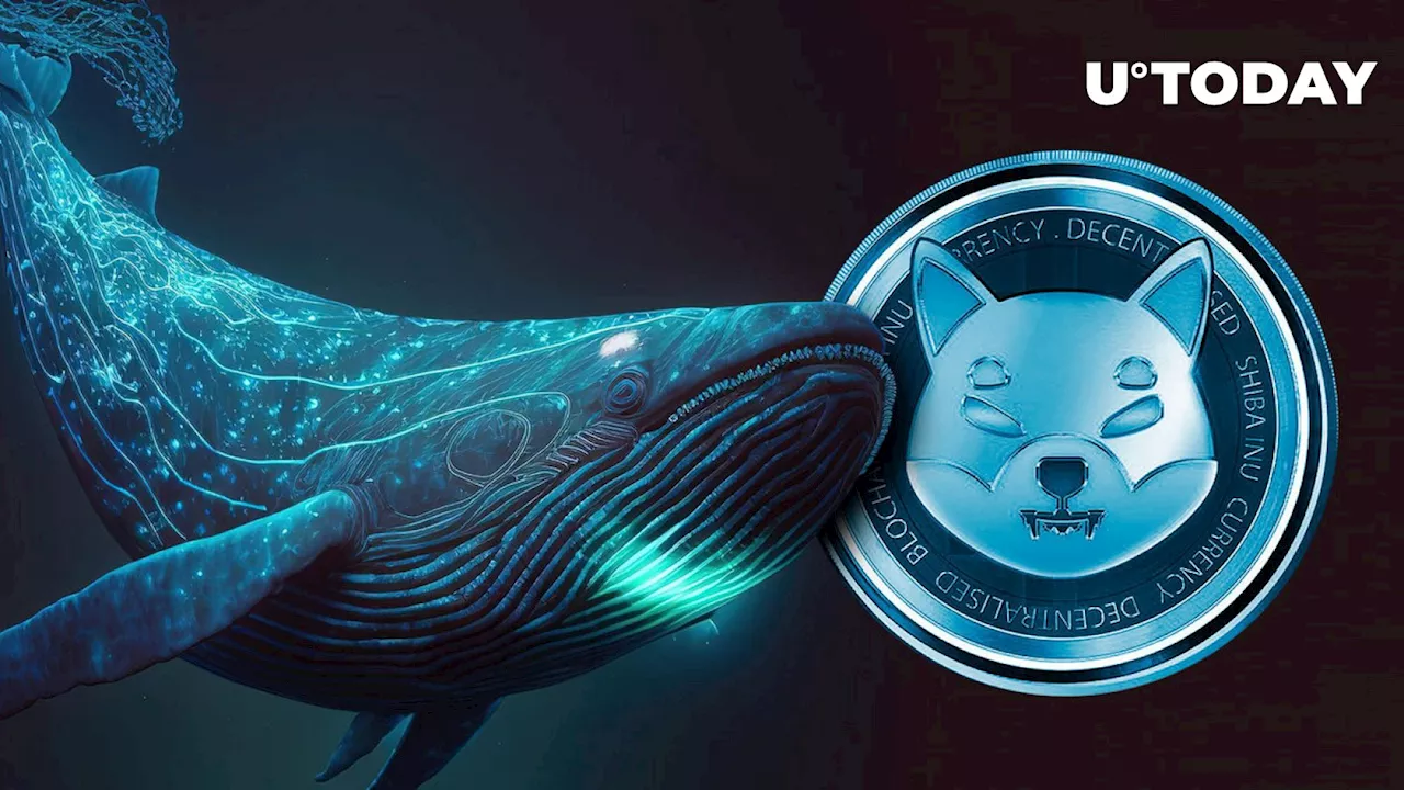 Mysterious Shiba Inu Whale Buys Billions of SHIB as Token Price Takes Dip