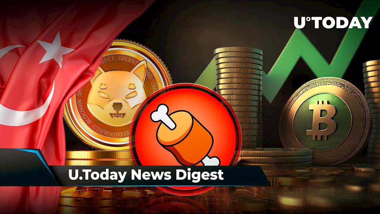 Shibarium and BONE Listed on Turkish Crypto Platform, Bitcoin Might Meet 'Key Pivot Point' on Nov. 21, Ripple Keeps Moving Millions of XRP to Bitstamp: Crypto News Digest by U.Today