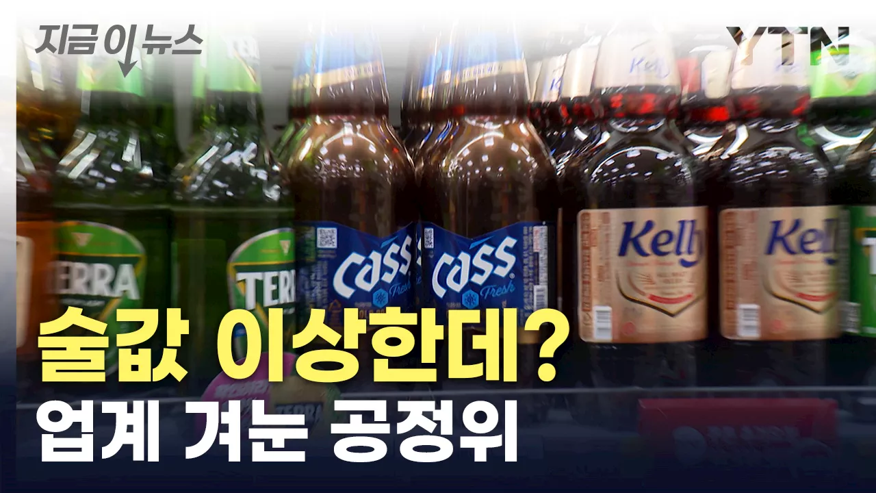 소주·맥주 가격 담합?...공정위, '술값' 정조준 [지금이뉴스]