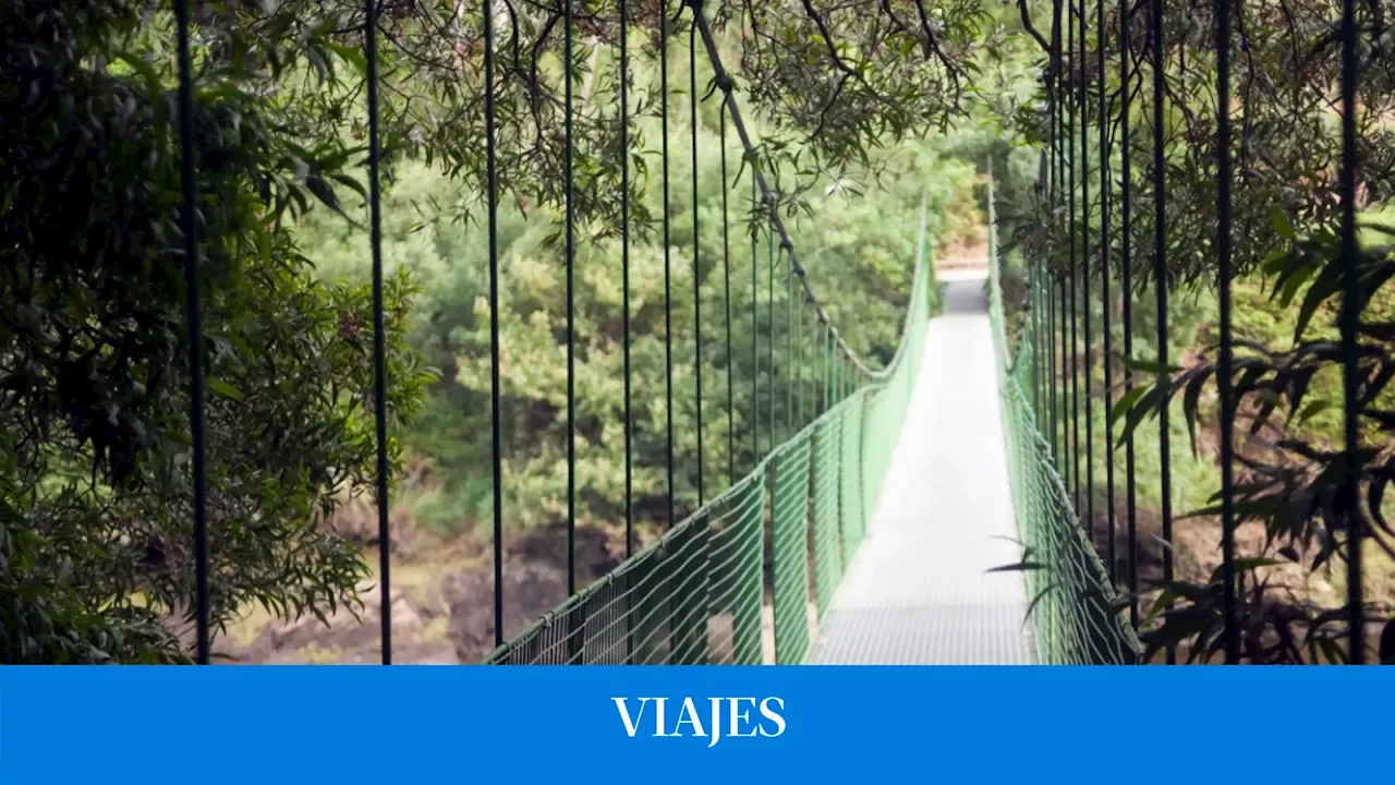 La increíble ruta en Galicia entre bosques, montes y un puente colgante sobre un río