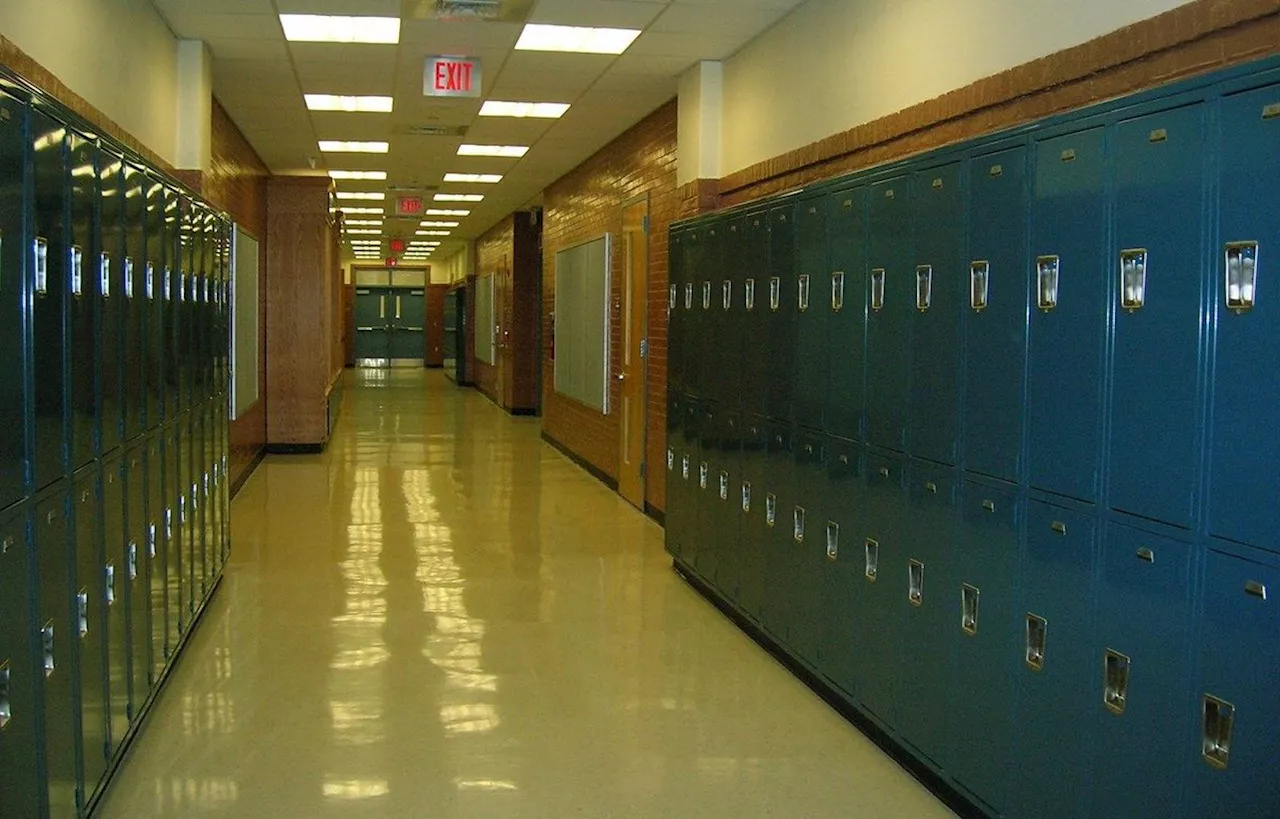 Essonne : Un adolescent interpellé après avoir fait l'apologie d'Hitler dans son collège