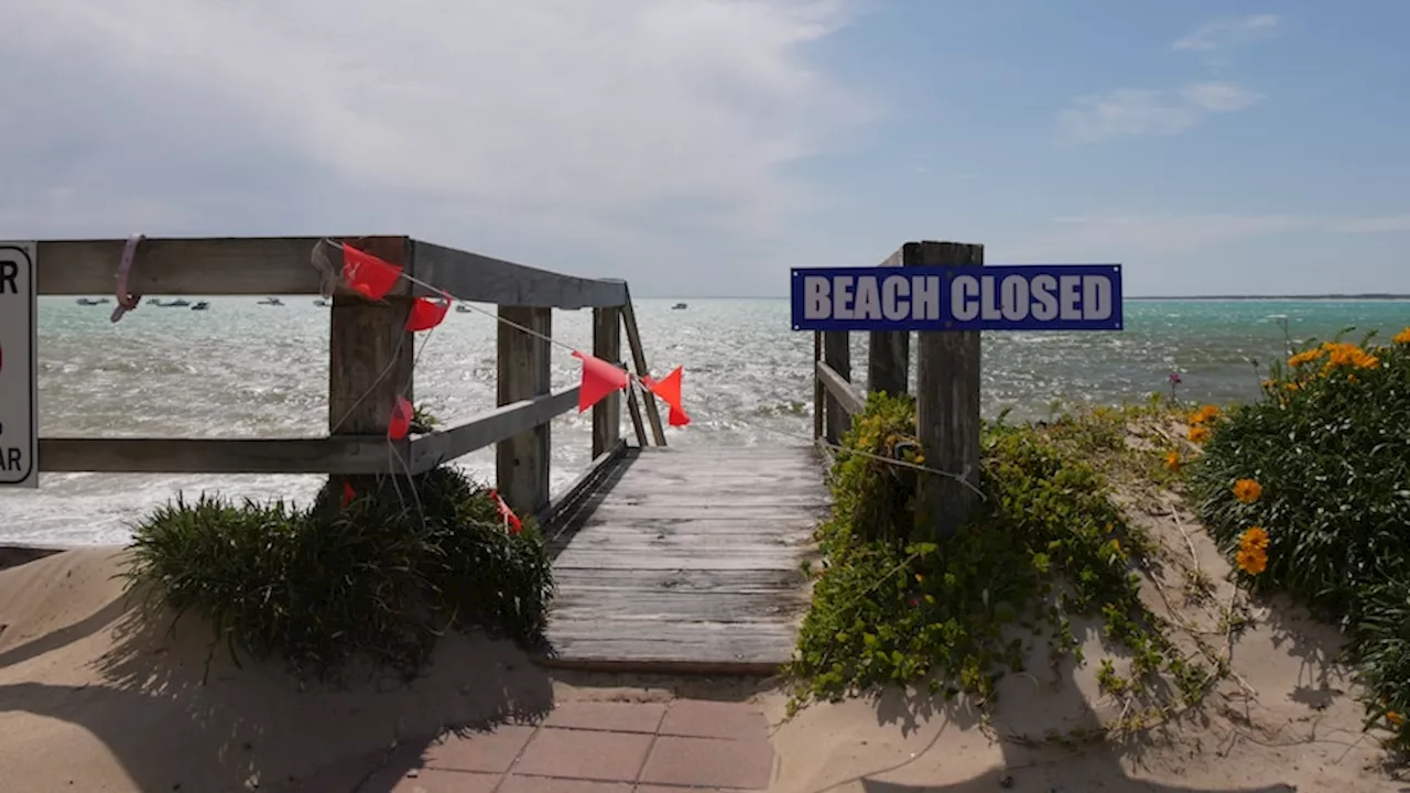 Beach erosion threatens tourism business on South Australia's Limestone Coast