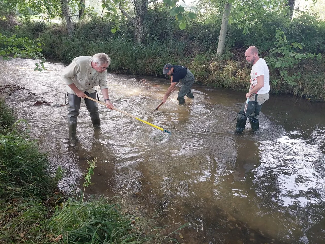 Arcisses : des travaux pour favoriser la reproduction des poissons sur la Cloche