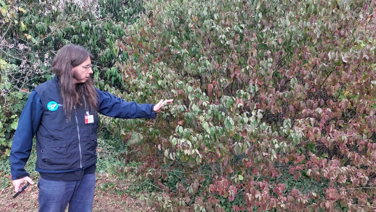 En Essonne, le siège social de cette célèbre entreprise devient un refuge pour les oiseaux