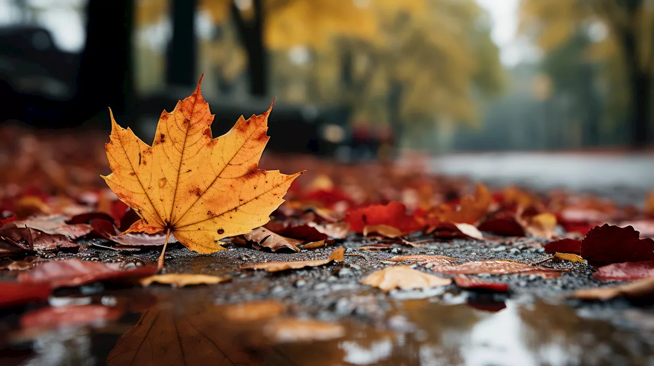 Arriva l'autunno in Italia, previsioni meteo oggi e domani: da Milano a Roma, ecco cosa succede