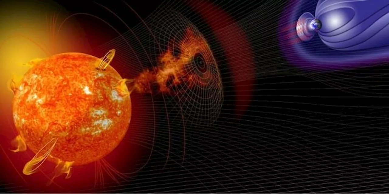 Negli alberi delle Alpi la spia della più grande tempesta solare