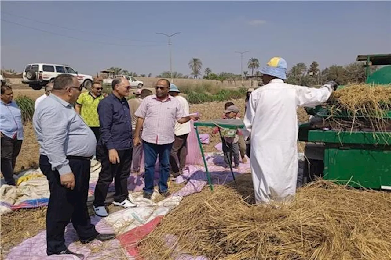 الزراعة تتابع بدء تنفيذ الدورة الزراعية فى محصول القمح