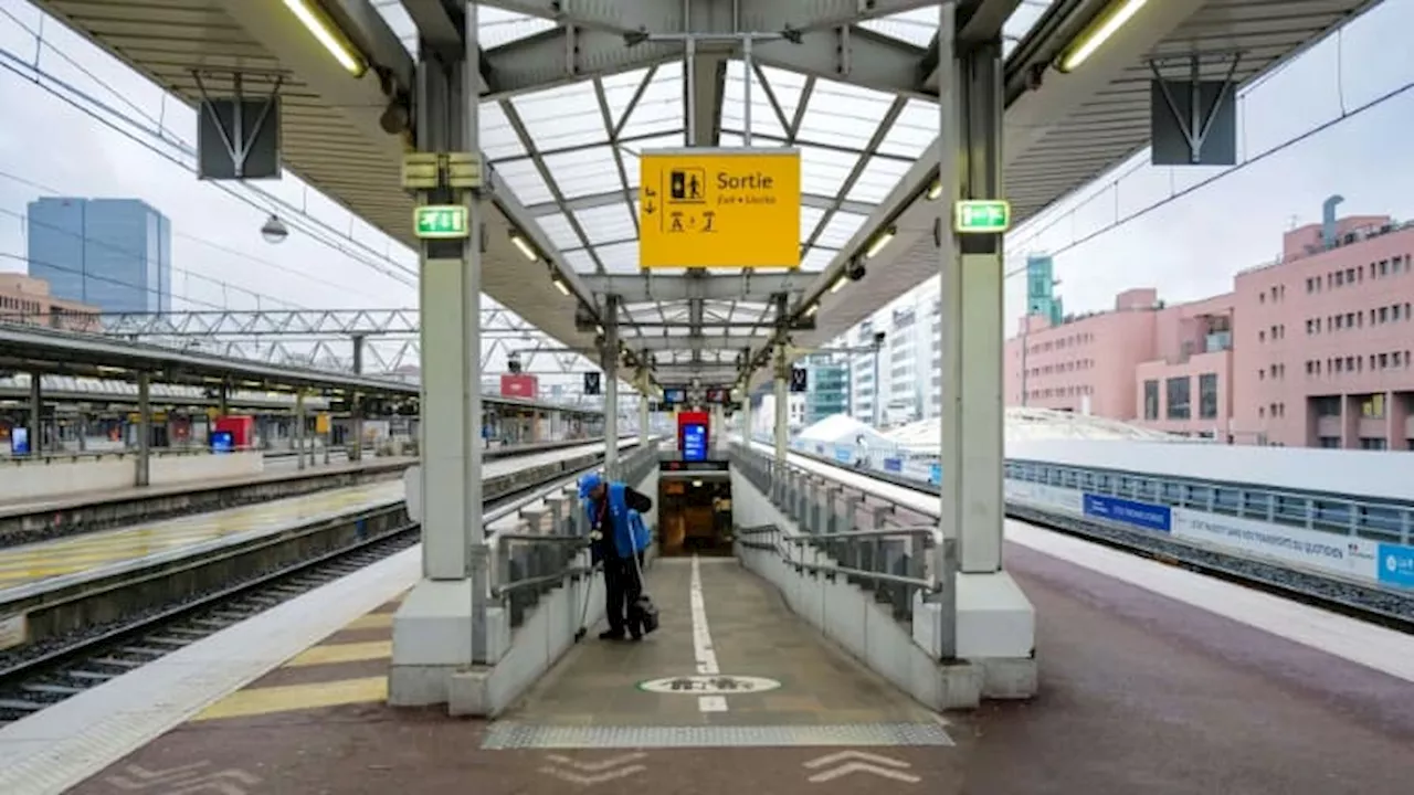 Lyon: des travaux prévus samedi à la Part-Dieu, les trains déroutés