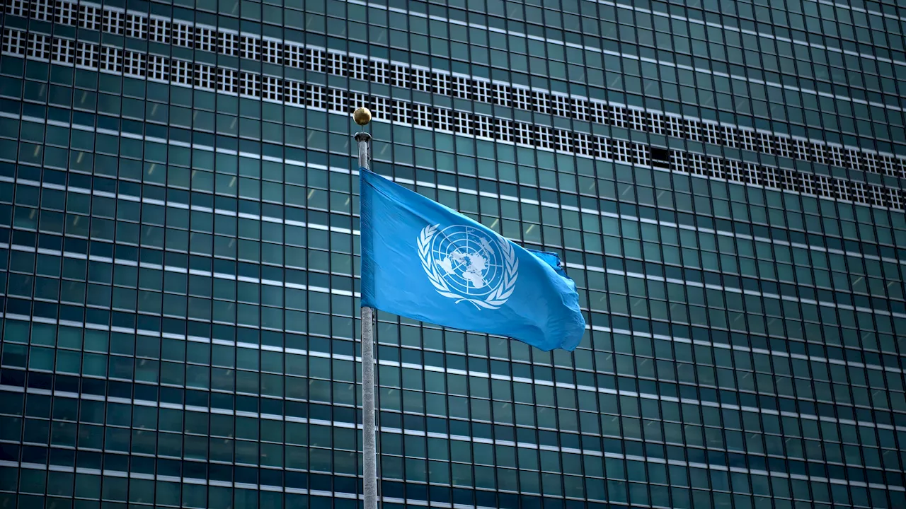 Une experte de l'ONU réclame l'interdiction de 20 'outils de torture modernes'