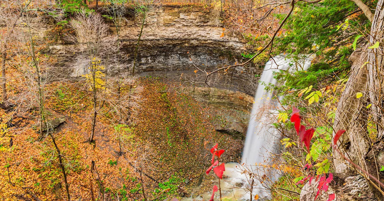 You'll find this picturesque waterfall in a conservation area just outside Toronto