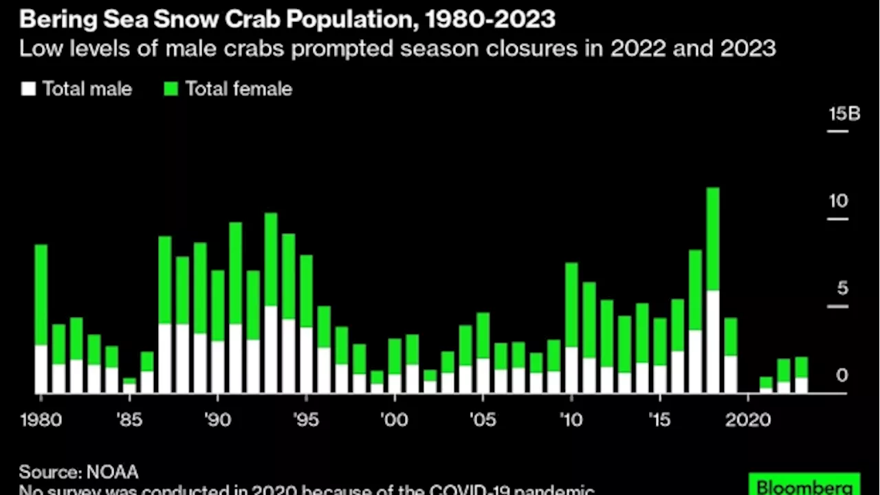 Alaska Shuts Down Its Snow Crab Harvest for the Second Year in a Row