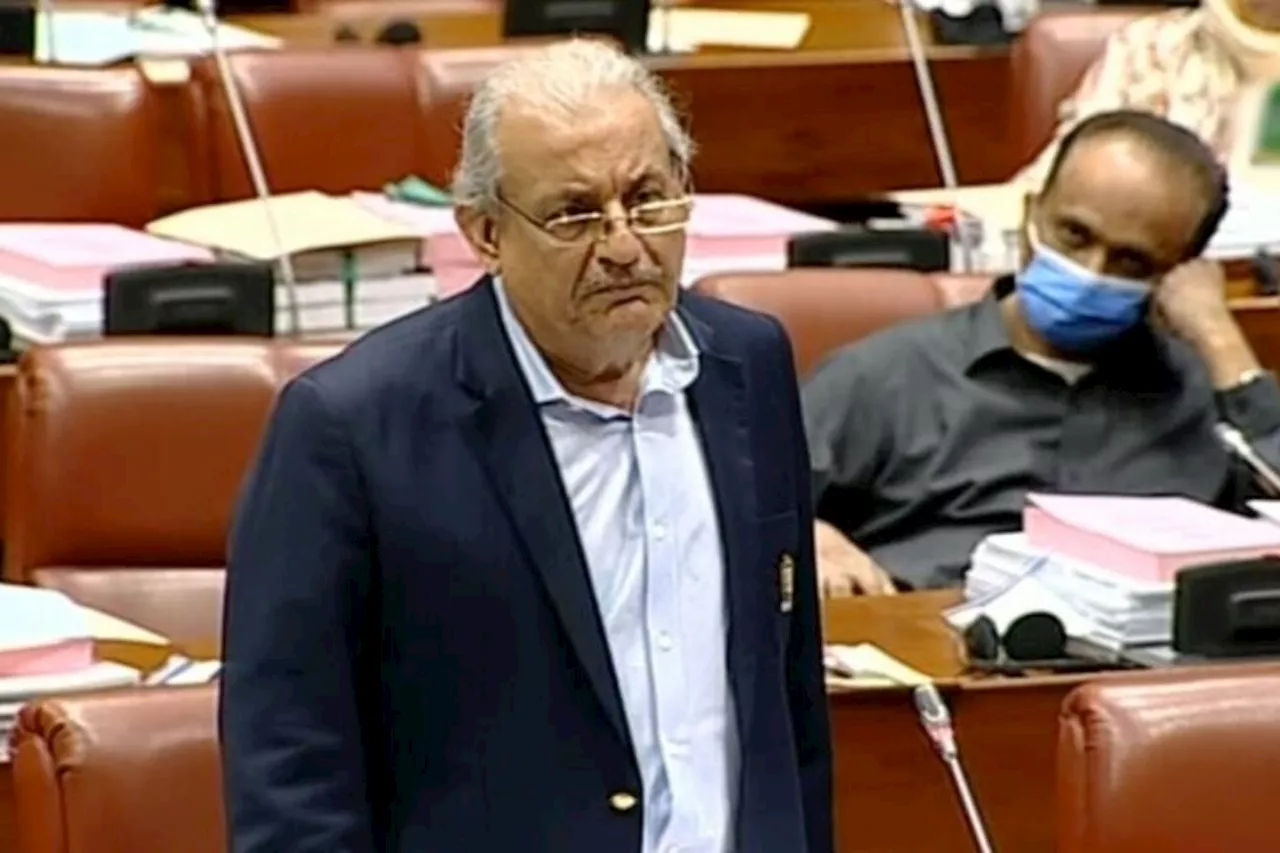 Rabbani urges govt to summons Senate session to discuss Gaza situation