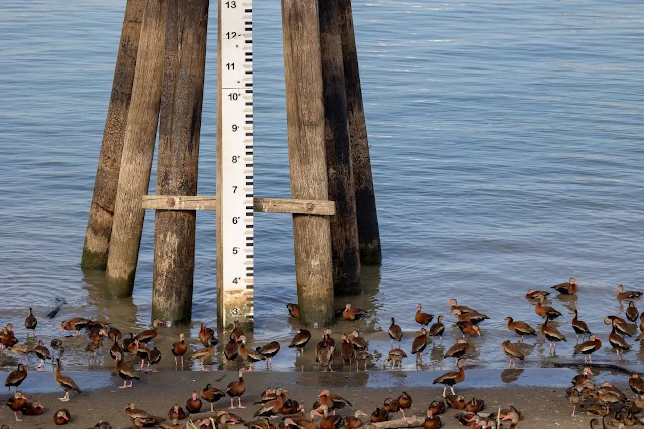 The Mississippi River has dropped to a historic low for the second consecutive year