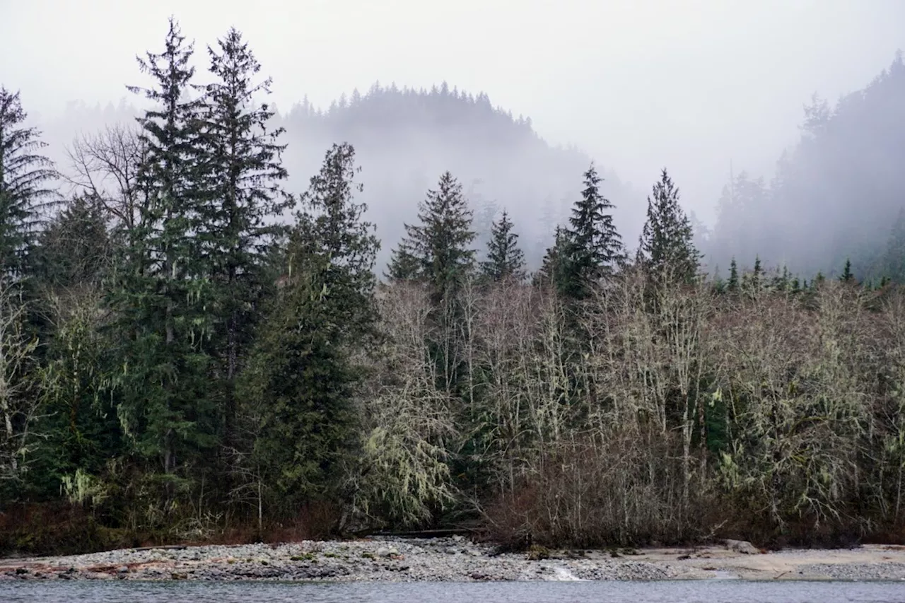 B.C. ordered to pay $10M for denying Squamish power project