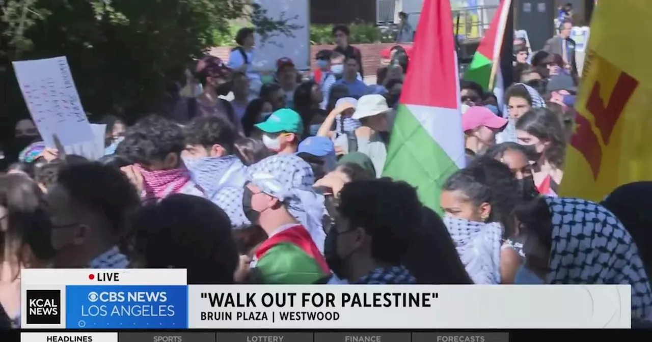 Large crowd gathers for 'Walk Out For Palestine' rally in Westwood