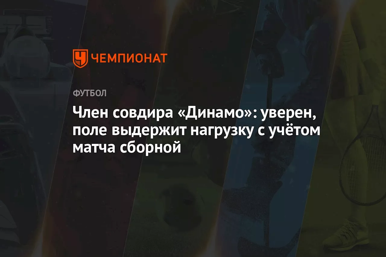 Член совдира «Динамо»: уверен, поле выдержит нагрузку с учётом матча сборной