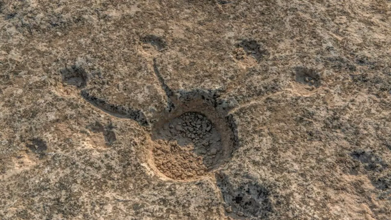 The mysterious symbols found carved in Qatar’s desert