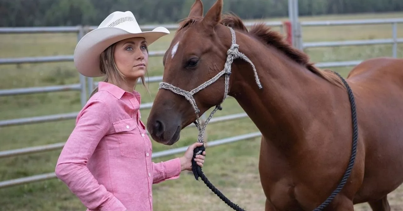 Heartland Season 13 Streaming: Watch & Stream Online via Netflix, Hulu & Peacock