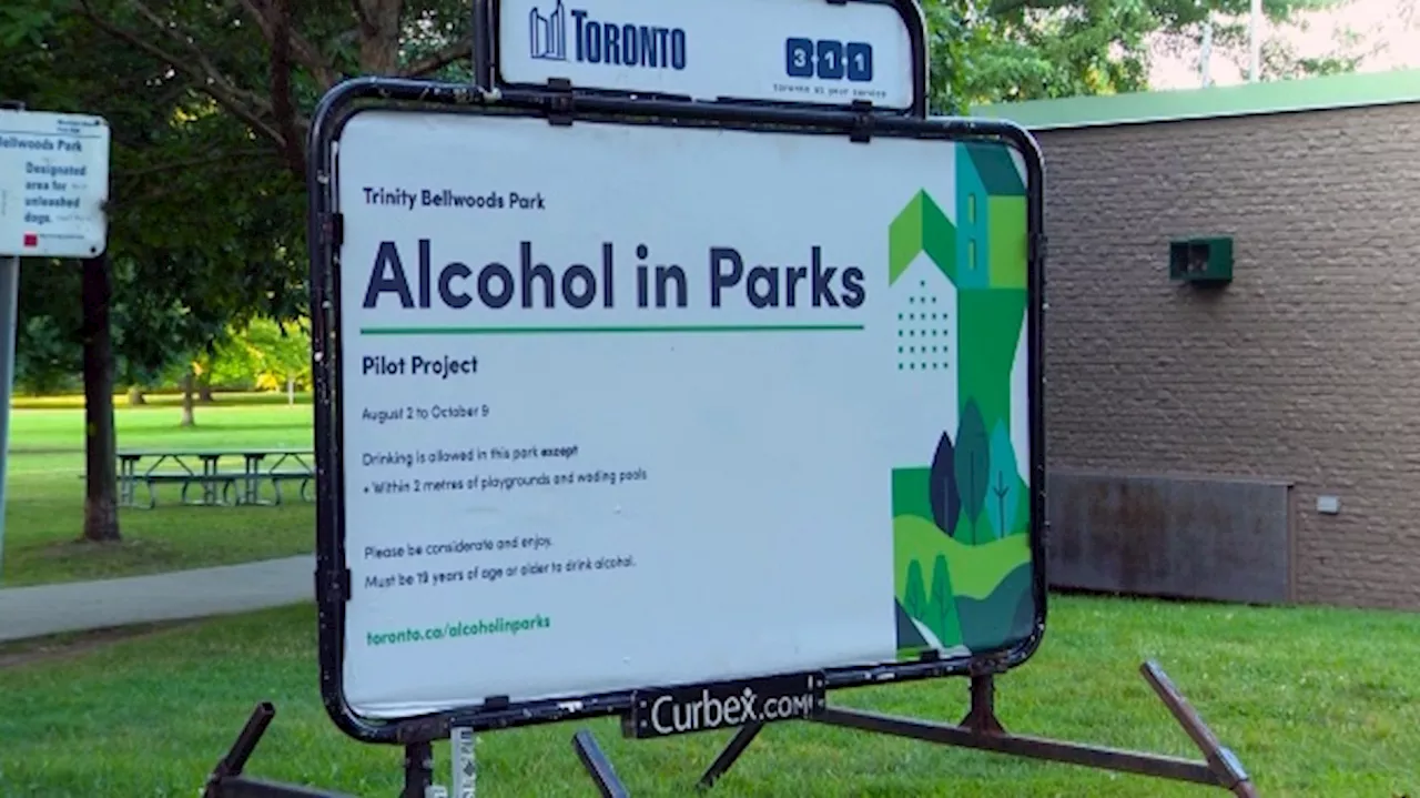 City council votes to extend alcohol drinking in Toronto parks pilot program until March 2024