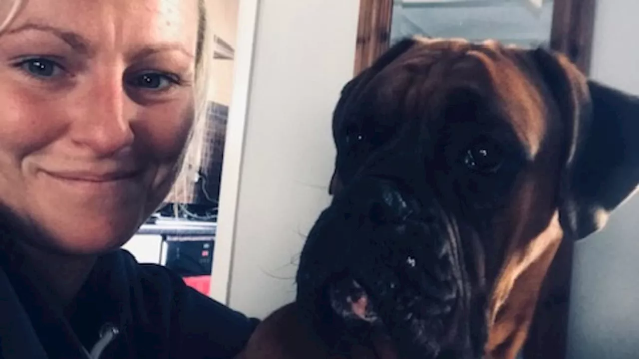 Banned dog owner whose two XL Bullies savagely mauled woman walking her puppy during horrific attack...