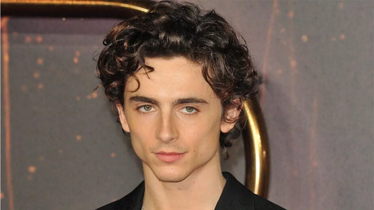 Timothee Chalamet's 'Wonka' Surprises At CinemaCon