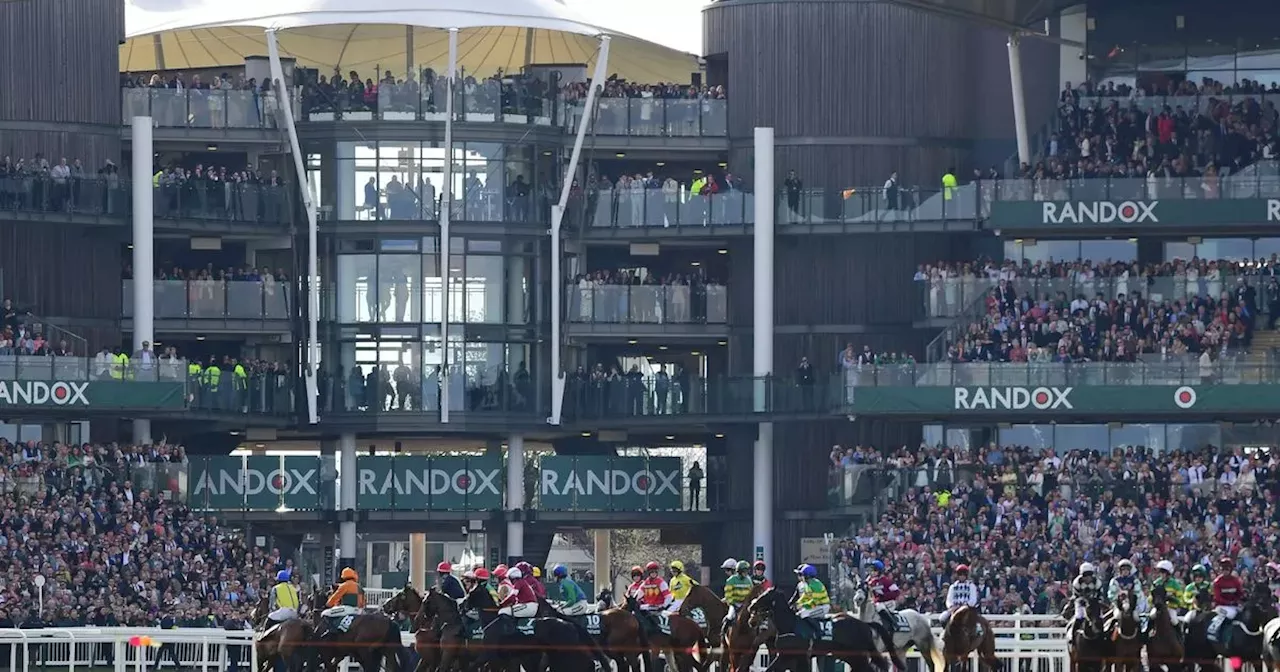 Number of horses running in Grand National 2024 race