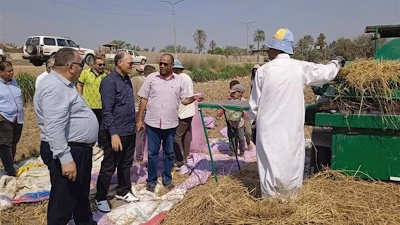 الزراعة تتابع الاستعداد لموسم المحاصيل الشتوية وبدء الدورة الجديدة للقمح