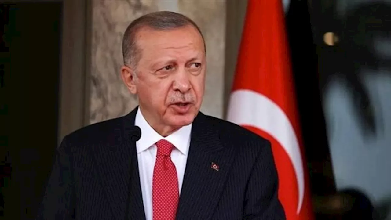 قطع الكهرباء والمياه والوقود والغذاء.. أردوغان: الهجمات على غزة وصلت لحد المجزرة