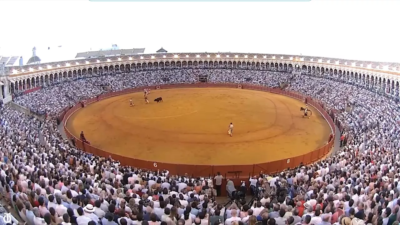 Borja Jiménez y El Cid, novedades del cierre de la temporada en Sevilla y Madrid