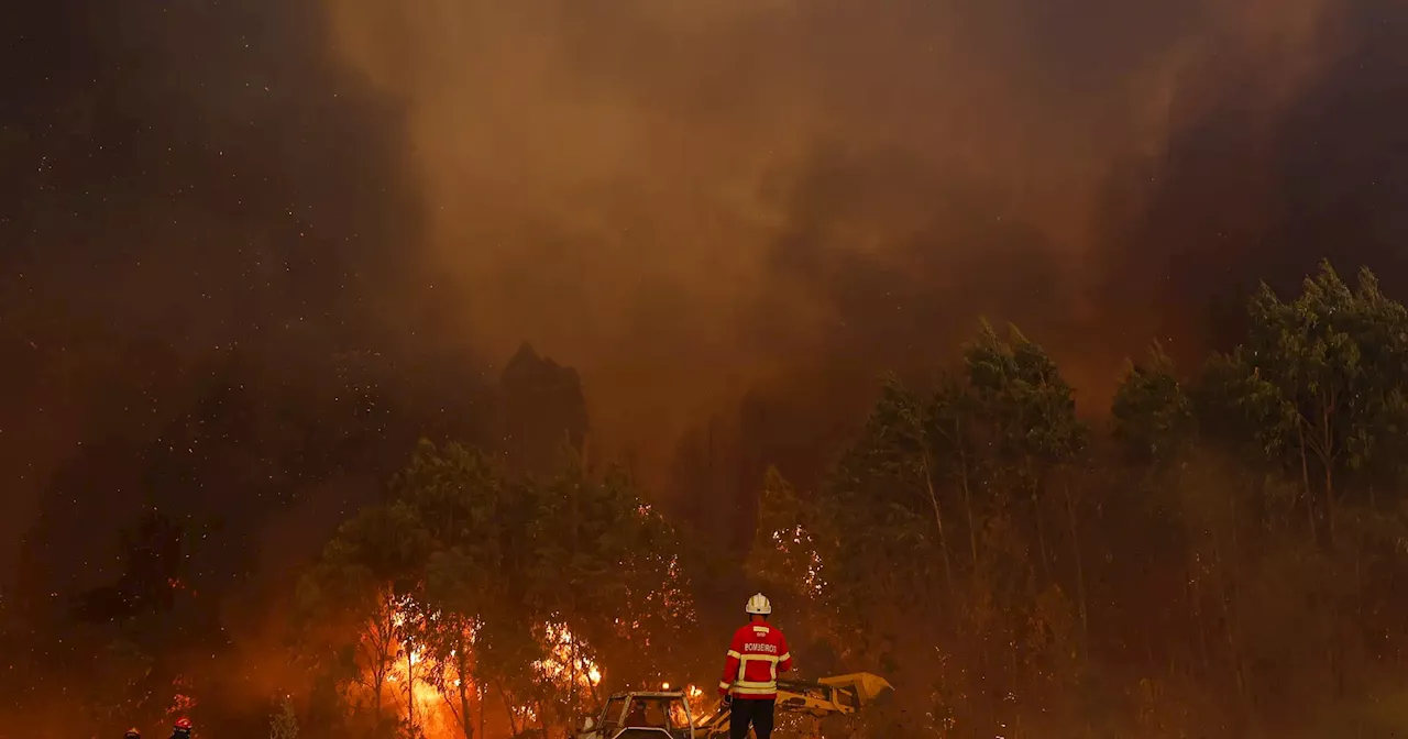 Fogo da Calheta alastrou ao Porto Moniz e obrigou à evacuação de lar e centro de saúde