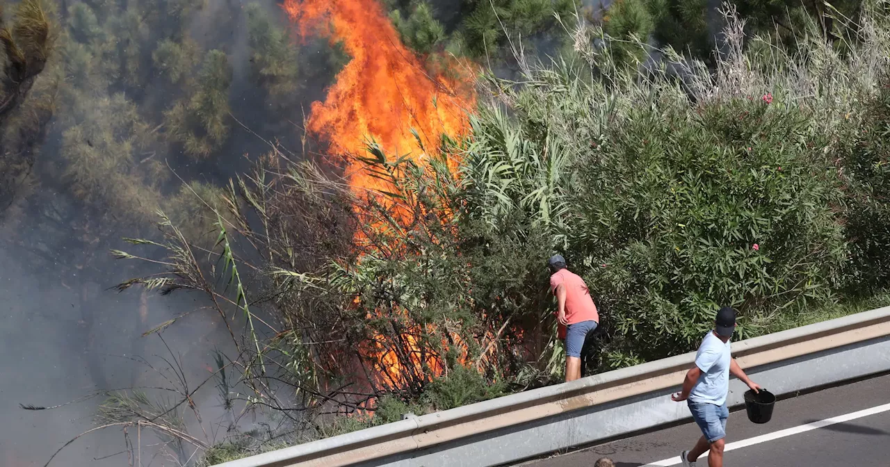 Madeira: chamas em Câmara de Lobos estão a descer para zona mais urbana