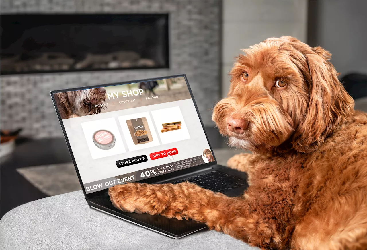 Amazon Prime Big Deal Days offers discounts on pet essentials this October