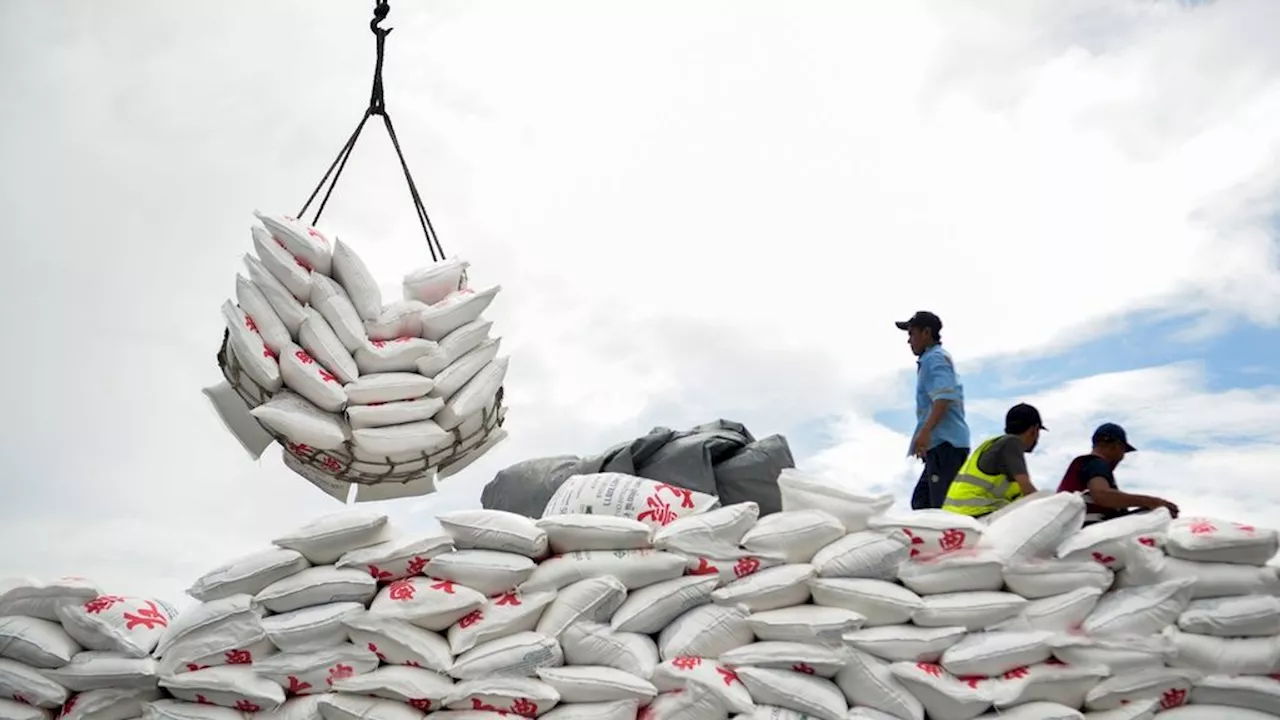 Government Sugar Reserve Imports Only Realized 24.69 Percent