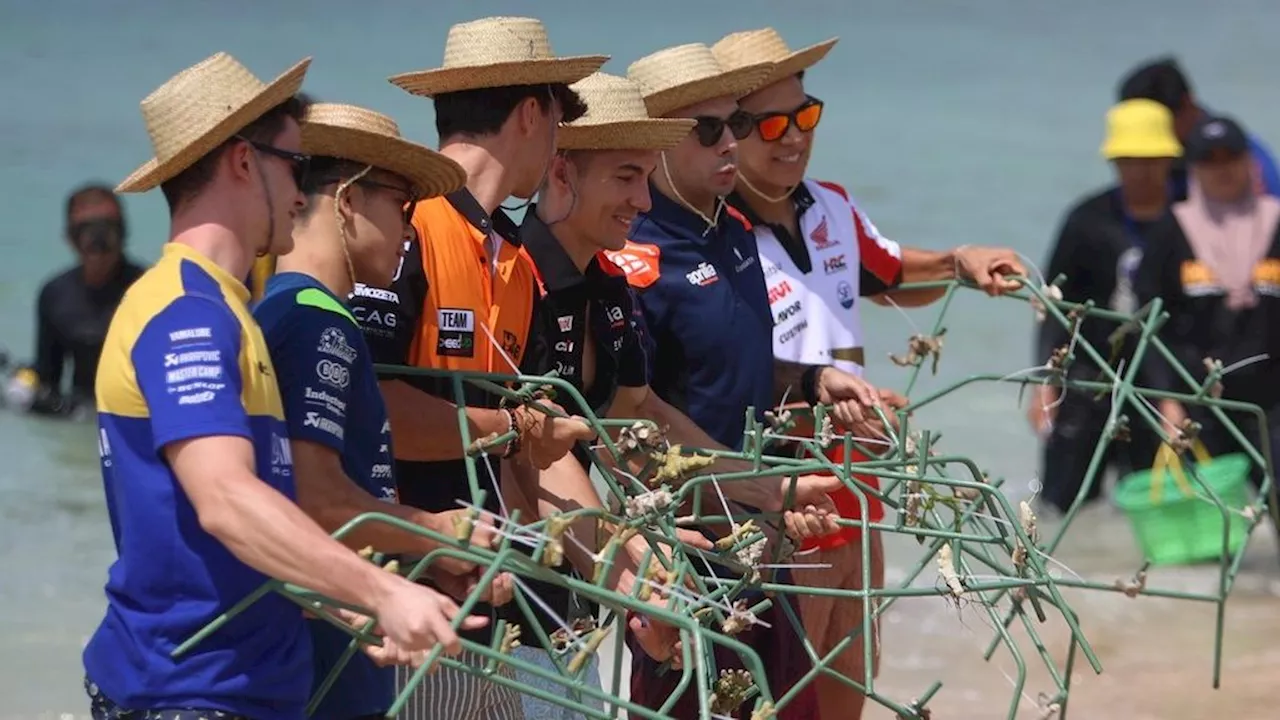 Sebelum Balapan, Pebalap MotoGP Tanam Terumbu Karang hingga Bersih Pantai di Mandalika