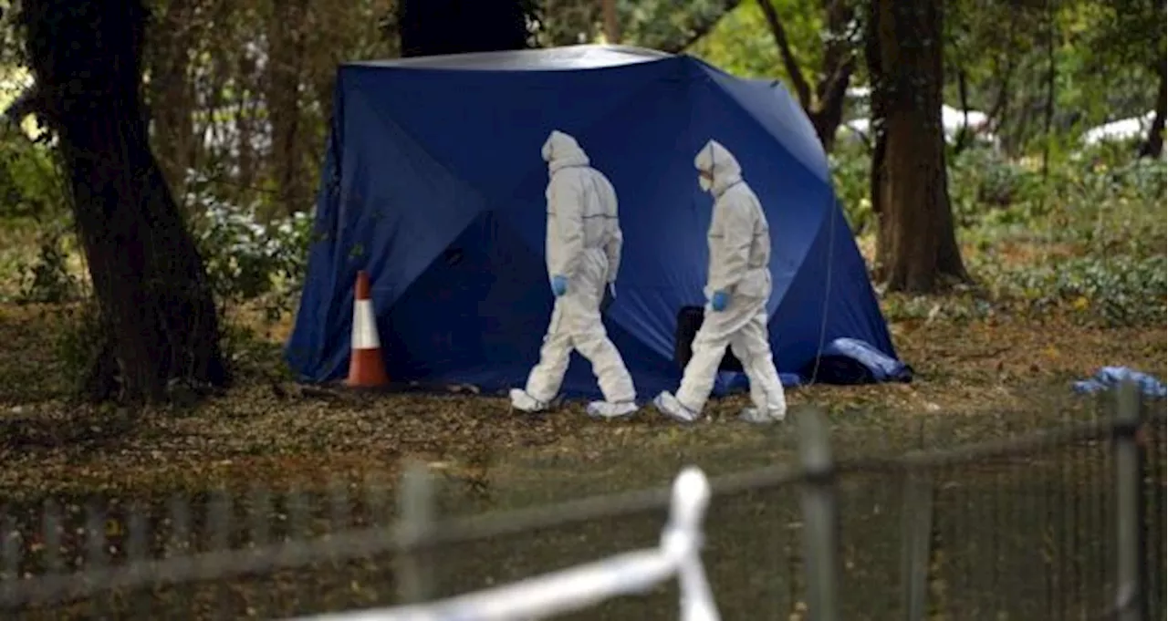 Gardai Launch Murder Investigation After The Body Of A Homeless Man Was Found In Phoenix Park