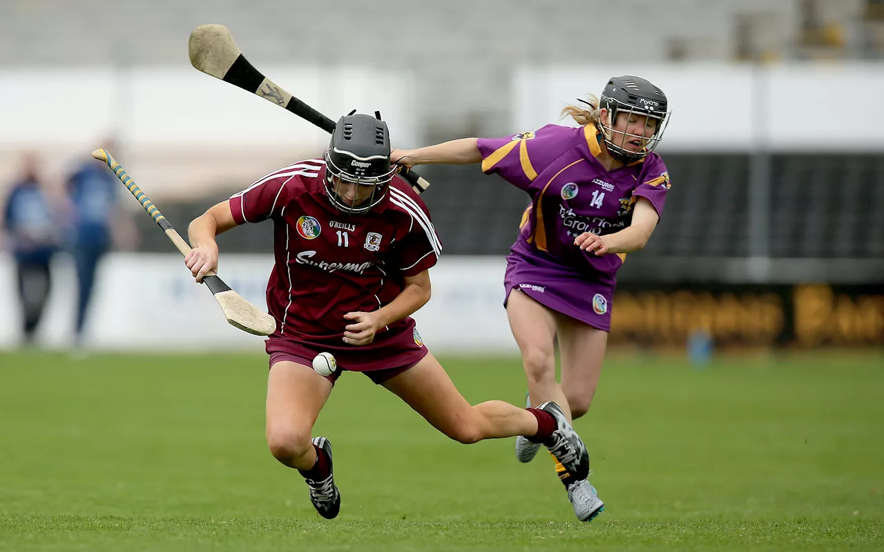 Wexford Camogie Board Launches Appeal Against Semi-Final Result