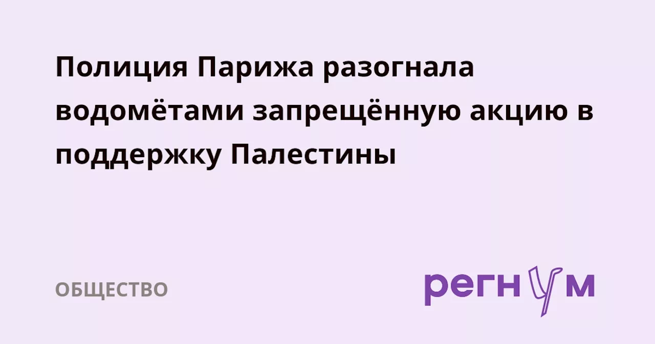 Полиция Парижа разогнала водомётами запрещённую акцию в поддержку Палестины