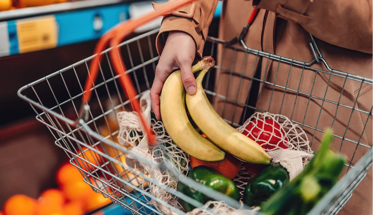 How an Emotional Support Banana Became My Secret Weapon Against Anxiety