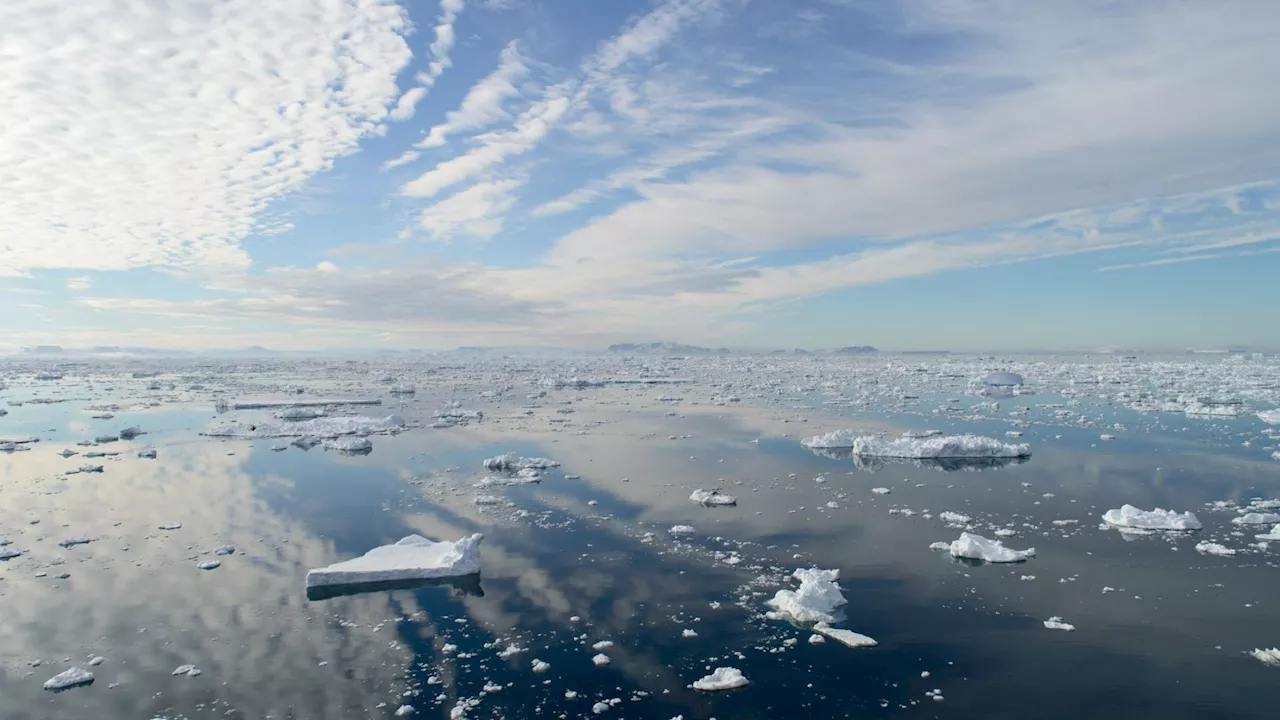 Over 40 percent of Antarctica ice shelves melted in 25 years