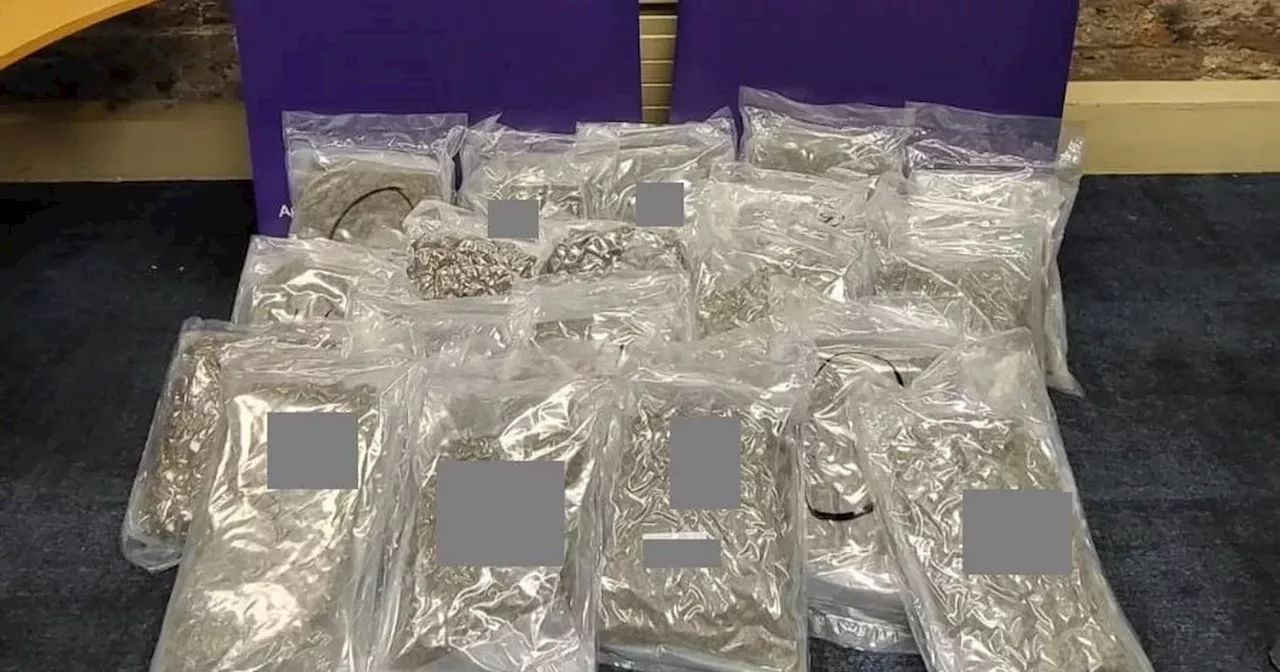 Man arrested as gardai seize €420,000 worth of cannabis in Dublin