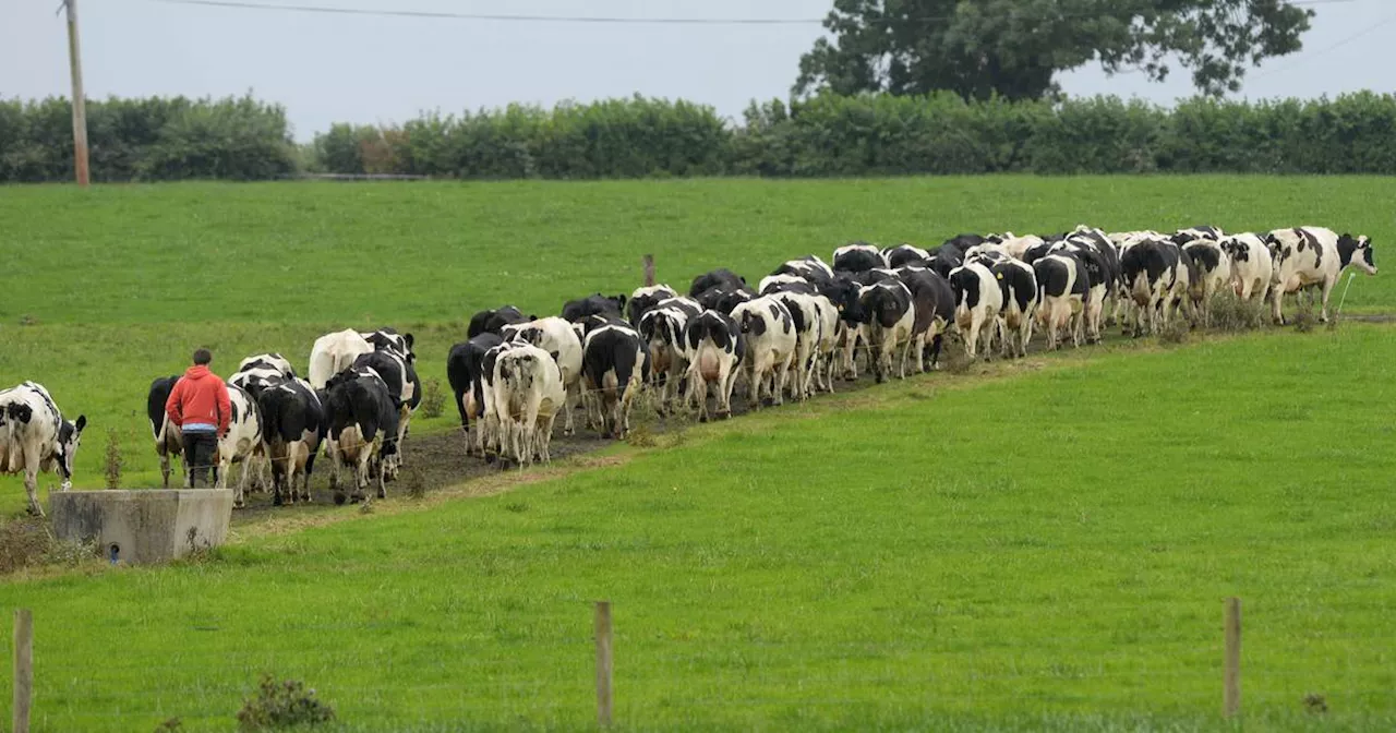 Cost of milk and fertiliser show biggest falls in August as farming prices continue decline