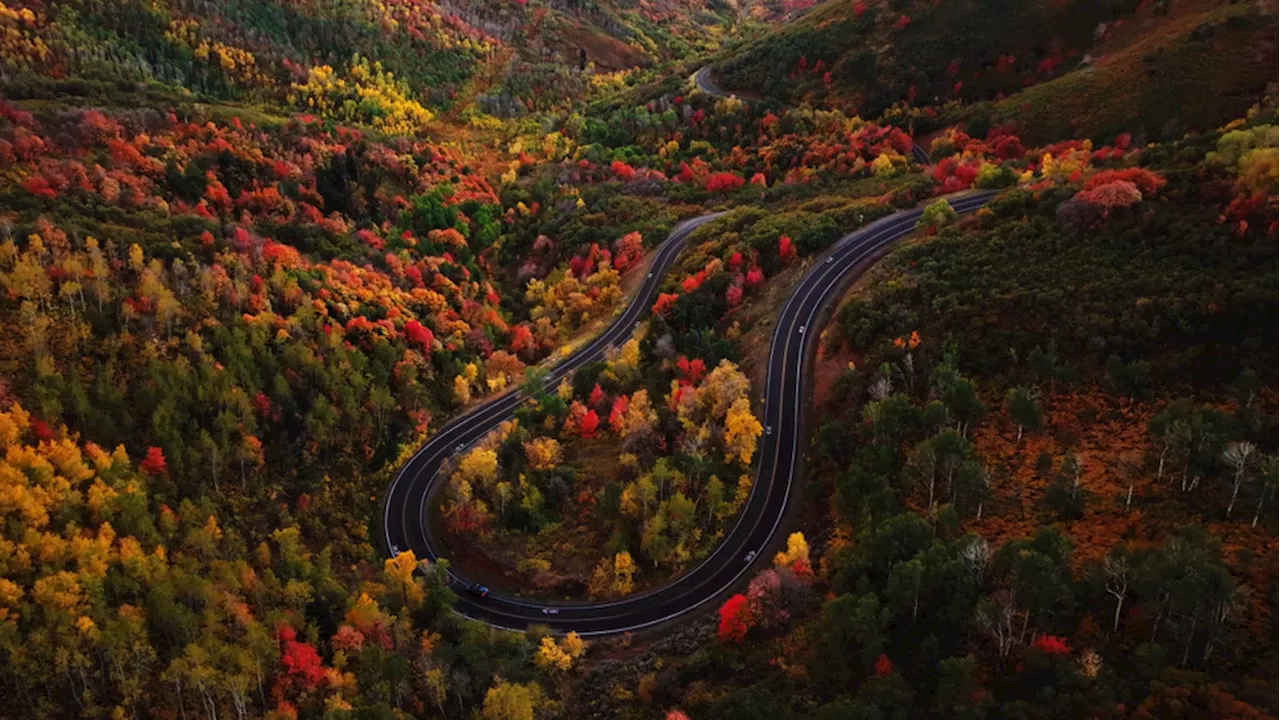 GALLERY: Local photographer shares breathtaking fall foliage shots, passion for drones