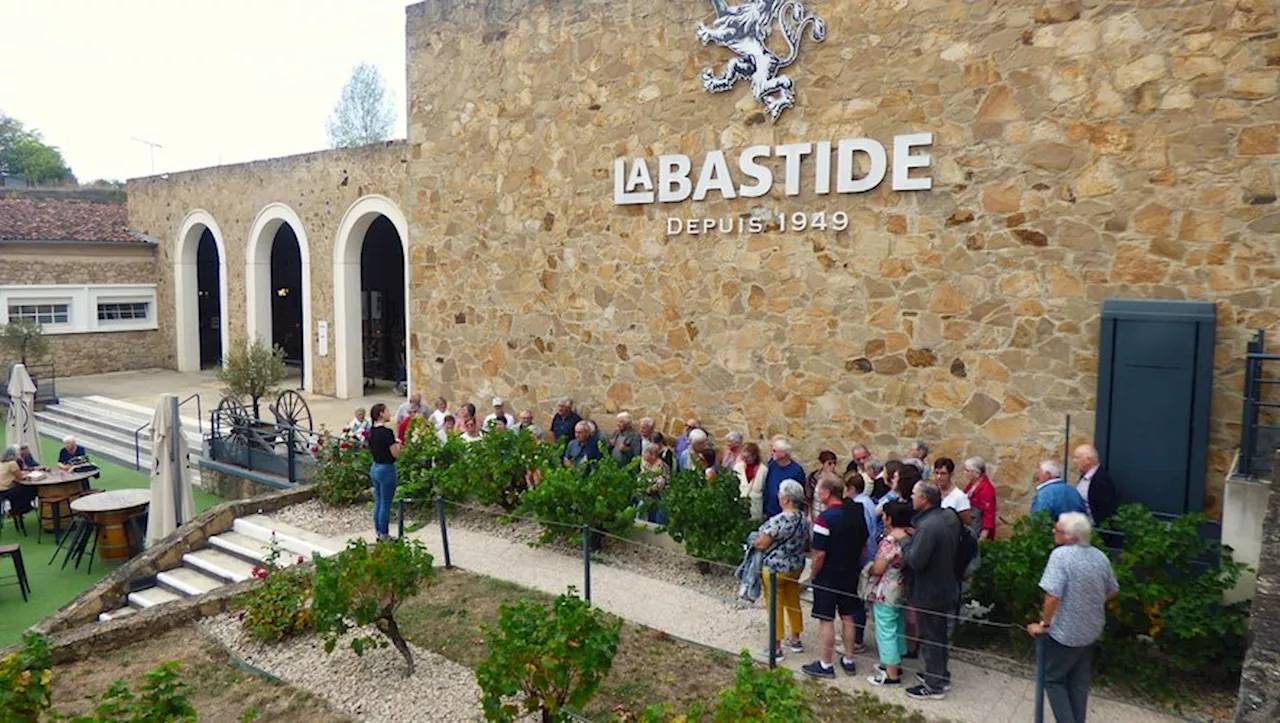 Gaillac : la Maison Labastide connaît une belle arrière-saison