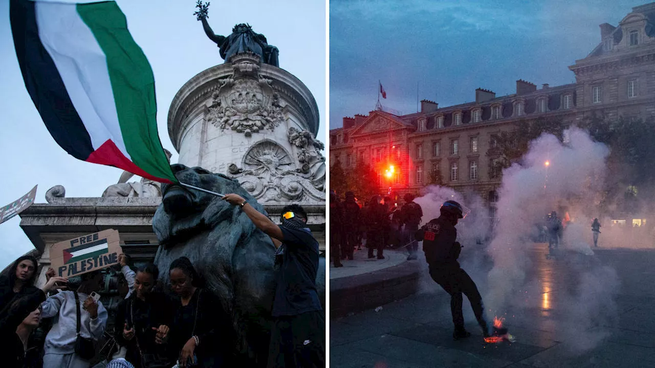 Paris police crash with protesters after France bans pro-Palestine demonstrations