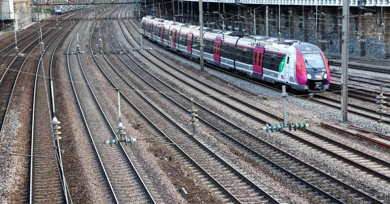 «Sale blanche» : un homme insulte une femme dans un train des Hauts-de-France