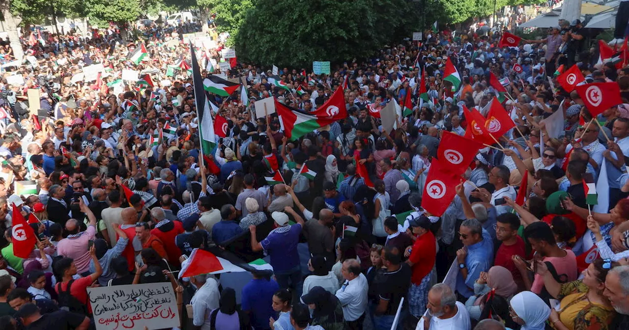 A Tunis, des manifestants soutiennent la Palestine contre «l’entreprise d’agression d’Israël»