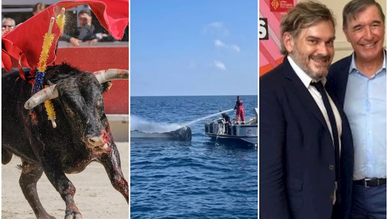 Les derniers toros, bateau en feu, Futurapolis Santé à Montpellier... l'essentiel de l'actu en région