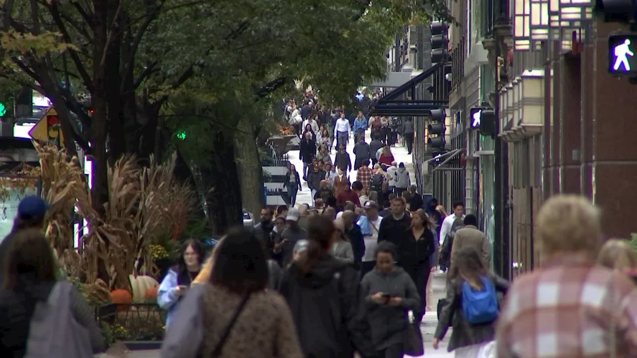 Cook County Sheriff's Office aids Chicago police in combatting Mag Mile crime