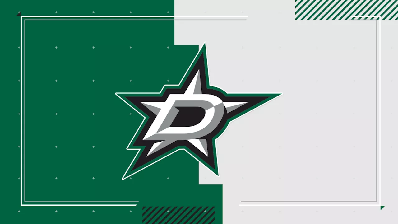 Dallas Stars continue to celebrate diversity in their 30th season