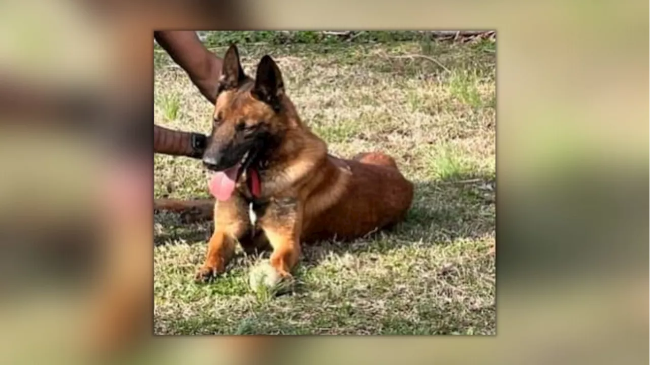 Plea agreement reached for former officer connected to disappearance of K-9